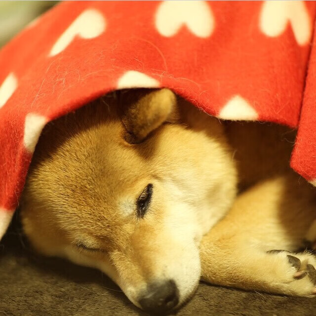 九游娱乐官网 (JIUYOU)-_场馆设计的未来：智能化、环保兼备_，场馆运行设计