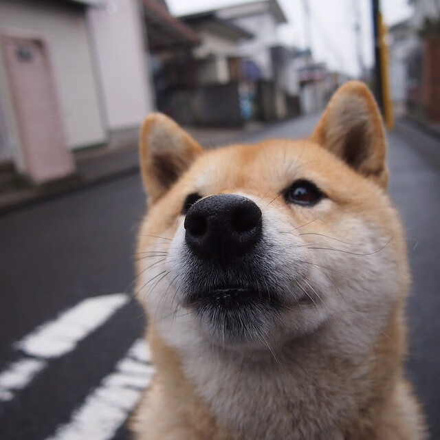 《Valorant新星崛起,逆袭冠军让人震惊》,valorant新英雄技能