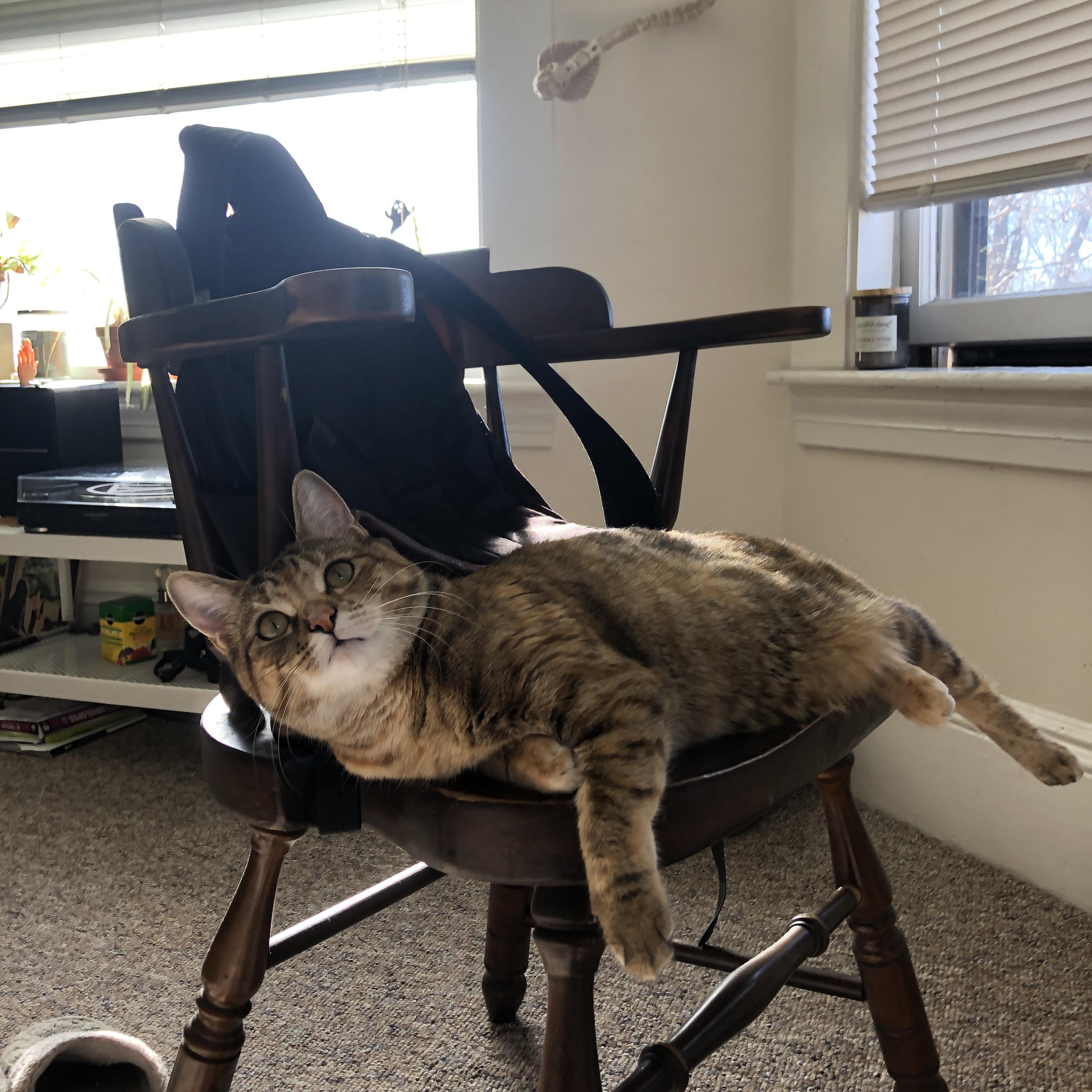 九游电脑版-国际拳击赛：拳拳到肉的较量，国际拳击邀请赛